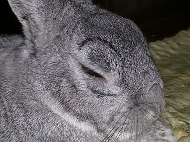 眠い